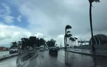 أمطار رعدية ورياح مثيرة للأتربة.. توقعات حالة الطقس اليوم الأربعاء 21-1-1447 في المملكة