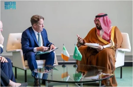 وزير الاقتصاد يبحث تعزيز التعاون التجاري والاستثماري مع وزير إيرلندي