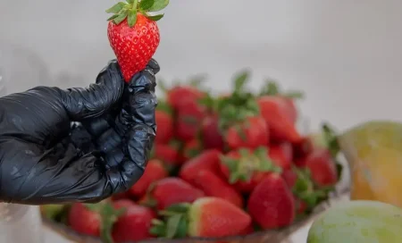 «مزارع الفراولة».. وجهة سياحية بيئية تجمع الطبيعة والزراعة في العمارية