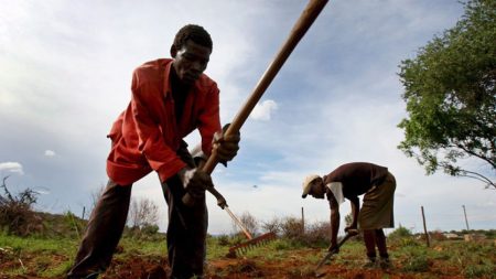 زامبيا تخطط لتطوير مصفاة نفط تعالج 60 ألف برميل يوميا