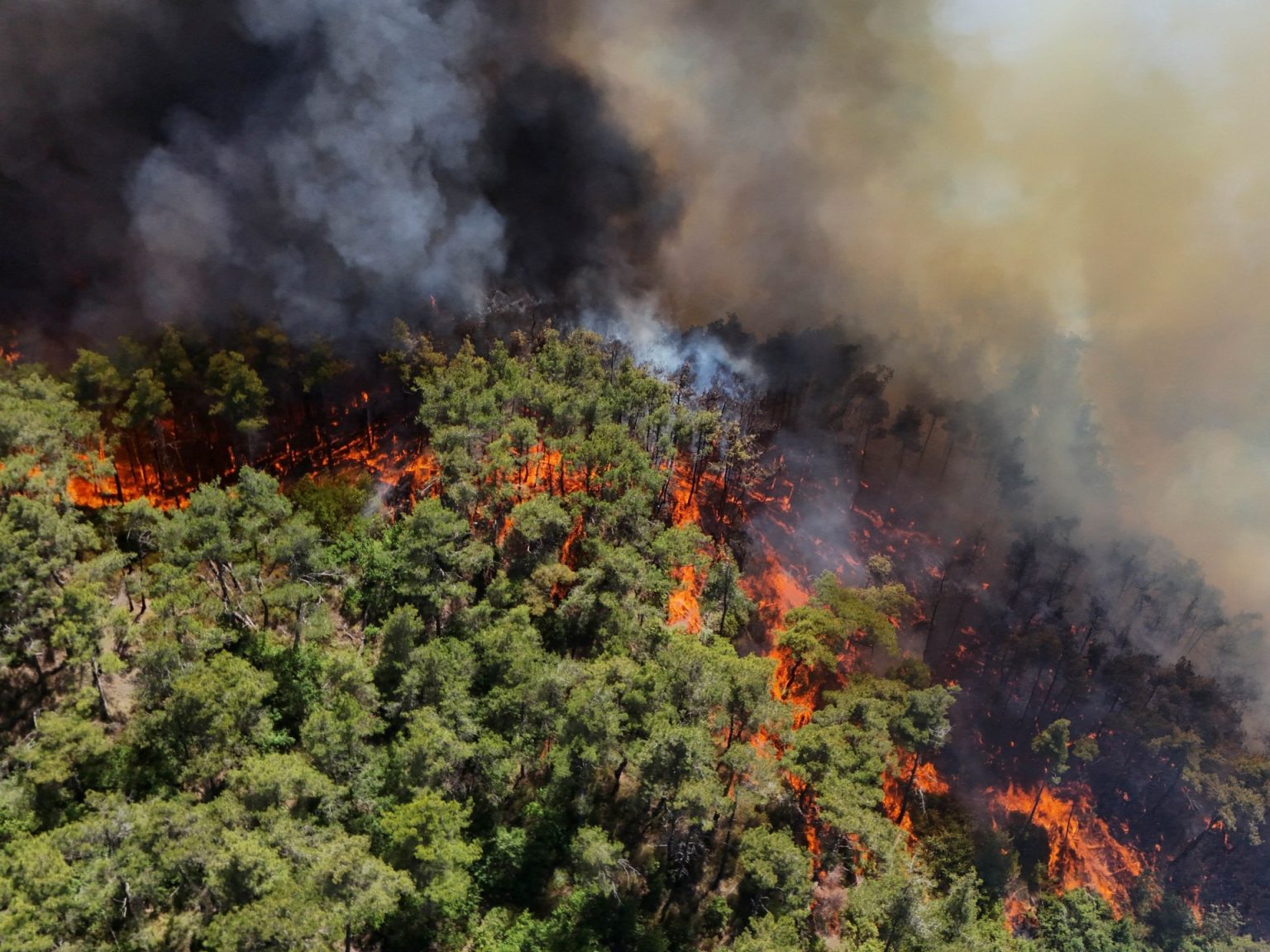 فرق الدفاع المدني تعمل على إخماد حرائق في أماكن جديدة بريف اللاذقية