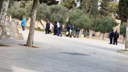 عشرات المستوطنين يقتحمون الأقصى ومحافظة القدس تحذر من مهرجان تهويدي