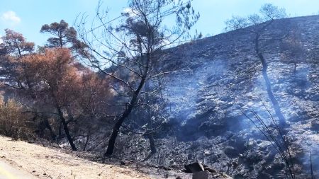 واجهوا النزوح مرتين.. نداءات لدعم المتضررين من حرائق اللاذقية