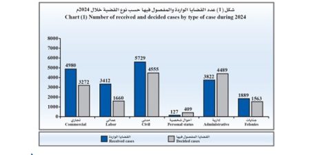 انخفاض قضايا الأحوال الشخصية بنسبة 63.8% وارتفاع الجنايات خلال 2024