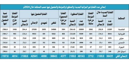 «الاستئناف» فصلت في 51164 قضية عام 2024 بزيادة 7.3%