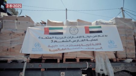 قوافل إماراتية تحمل أدوية ومستلزمات طبية تصل إلى غزة دعماً للقطاع الصحي