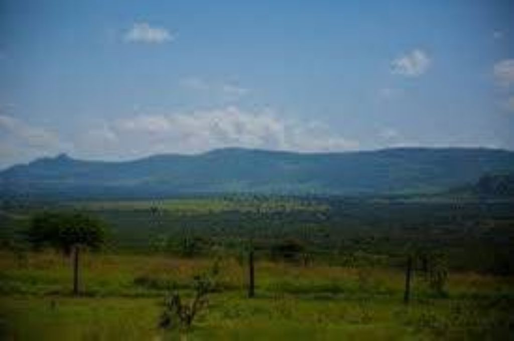 انتصار رمزي.. بريطانيا تدفع 4 ملايين دولار لكينيا بعد حريق «لولدايغا» المدمر