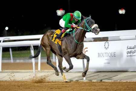 محافظة الطائف تشهد تنظيم الأسبوع الثاني من موسم سباقات الخيل