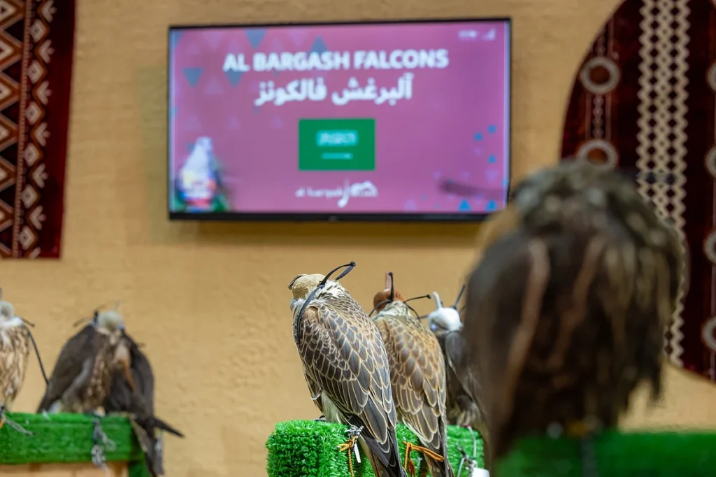 "مزرعة سعودية" تشارك بـ111 صقرًا في المزاد الدولي لمزارع إنتاج الصقور 2025