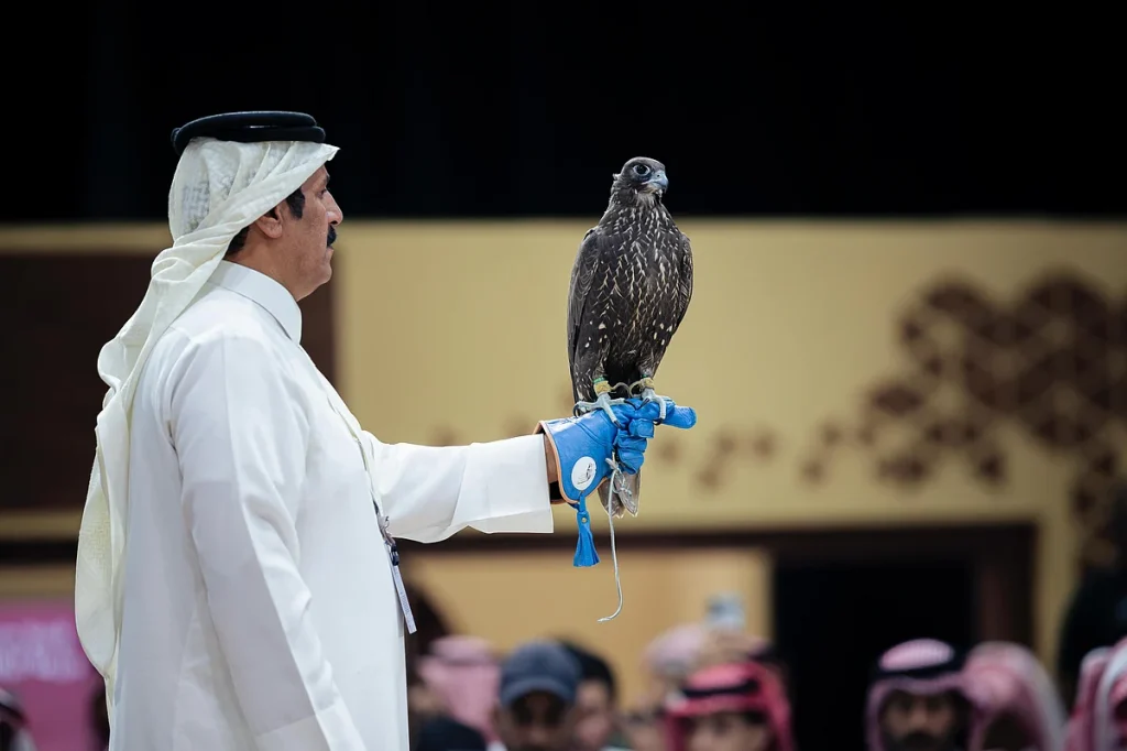 بيع صقرين بـ180 ألف ريال في الليلة الأولى لمنصة المزاد الدولي لمزارع إنتاج الصقور 2025