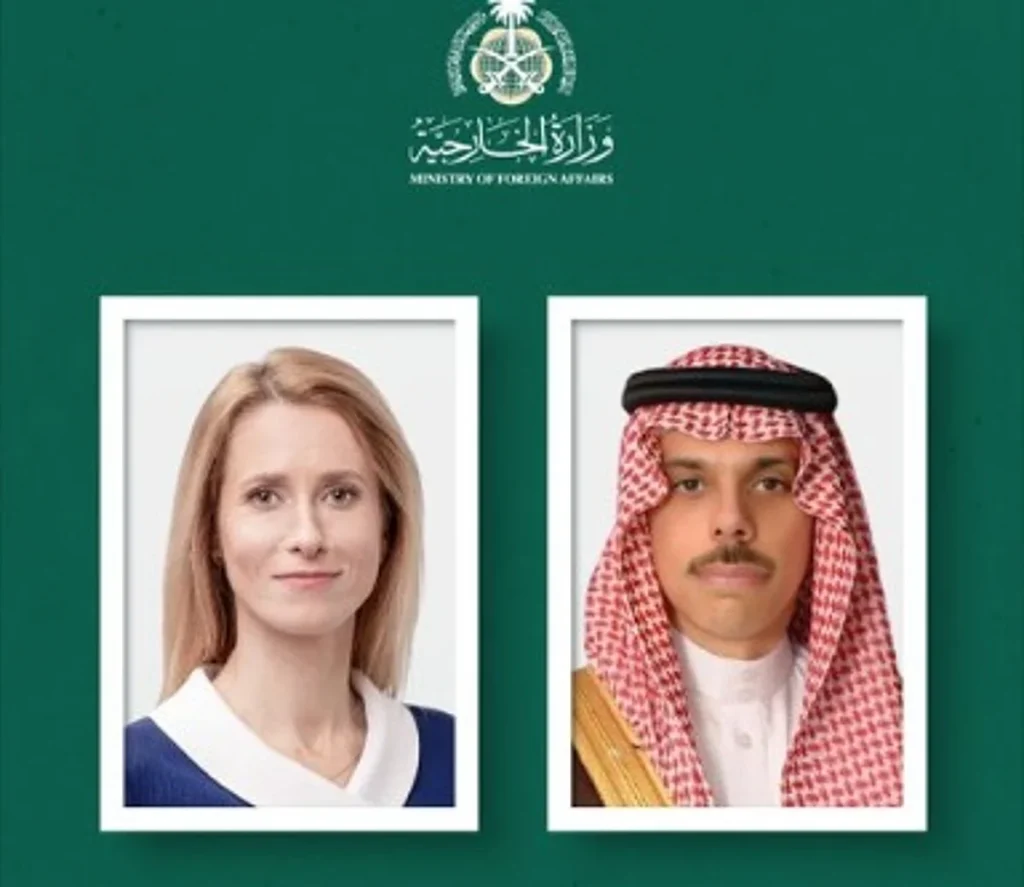 وزير الخارجية يبحث مستجدات الأوضاع في غزة مع الممثلة العليا للاتحاد الأوروبي