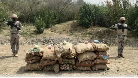 القبض على 13 مخالفا لتهريبهم 260 كيلوجراما من نبات القات بمنطقتي جازان وعسير