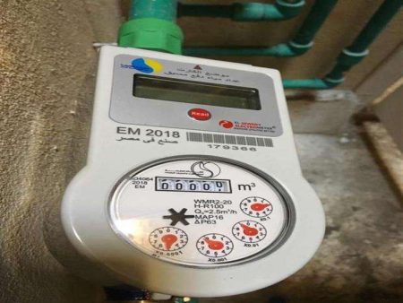 6 أشهر قبل العقوبات.. قرار حكومي صارم بشأن بيع وتركيب عدادات المياه