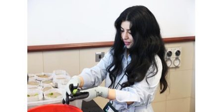 «البيئة»: استزراع «المانغروف» لمكافحة تغير المناخ وحماية التنوع البيولوجي في البلاد