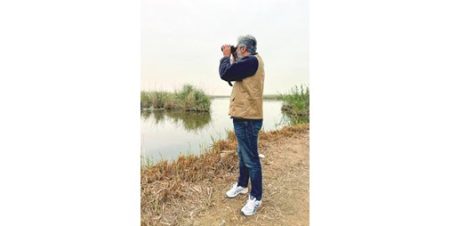 «حماية البيئة»: المياه والطيور في الكويت.. علاقة حياة وتكاثر