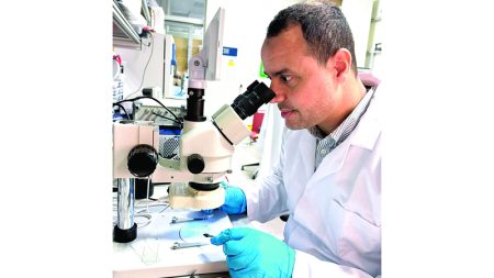 تطوير كبسولة لاسلكية تتحكم في أعصاب الأمعاء