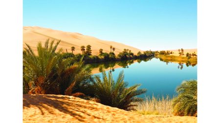 المياه الجوفية والمحلاة وإنتاج الغذاء.. 3 تحديات مرتبطة بآثار التغير المناخي