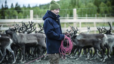 خطط السويد لاستخراج المعادن النادرة تُدمّر حياة «رعاة الرنة»