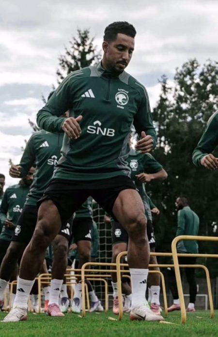 الأخضر
في اختبار التشيك