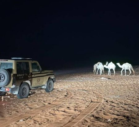 «الأمن البيئي» يضبط مواطناً لارتكابه مخالفة الرعي في مواقع محظورة