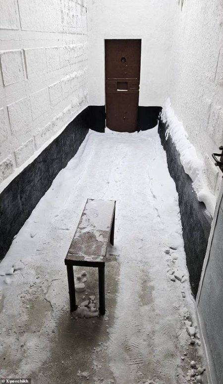 صور الزنزانة القطبية تكشف المعاناة والموت المريب للمعارض الروسي