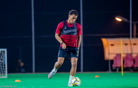 أبها.. غاري يدخل خيارات بوريتش