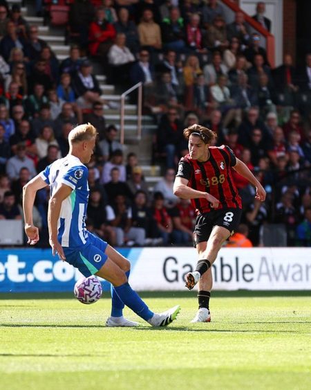 الدوري الإنجليزي| نيوكاسل يهزم وولفرهامبتون.. بورنموث يتخطى برايتون