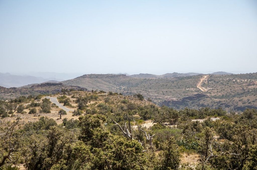 «الغطاء النباتي» يدعو لإبداء رغبات الاستثمار بـ 17 متنزه وطني في منطقة مكة المكرمة