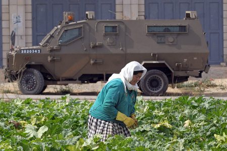 فلسطينيات في الضفة يقاومن بالزراعة زحف الاستيطان