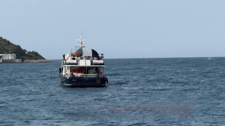 مئات التونسيين يستقبلون “أسطول الصمود” بميناء سيدي بوسعيد