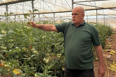 كيف يضيّق الاحتلال على سلة فلسطين الزراعية في الأغوار؟