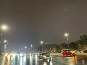 «العروس» تتنفس نسيم المطر – أخبار السعودية