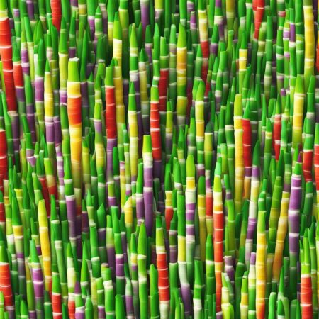 Cracking the Genetic Code of Sugarcane: A Sweet Success