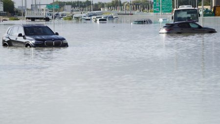 Arabian Peninsula Rain