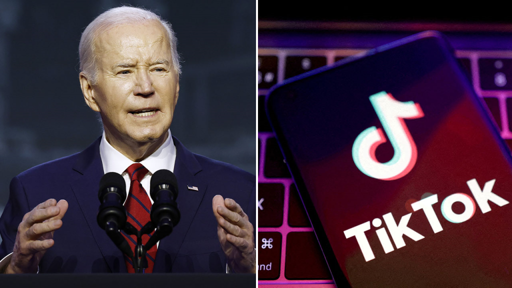 Biden TikTok split