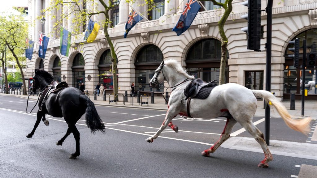 Britain Horses