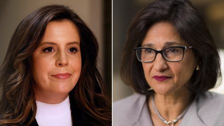 Elise Stefanik Minouche Shafik split