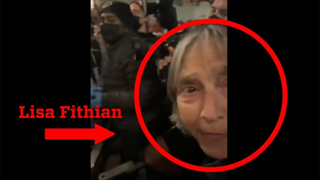 Lisa Fithian Protest NYPD Provided