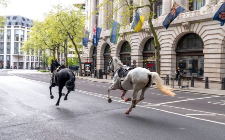 London Horses