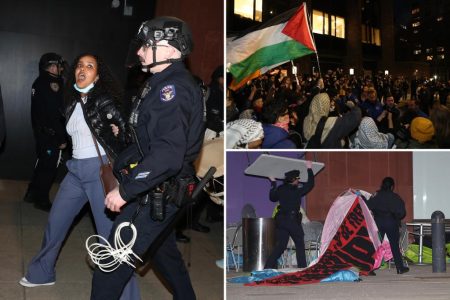 NYU arrest