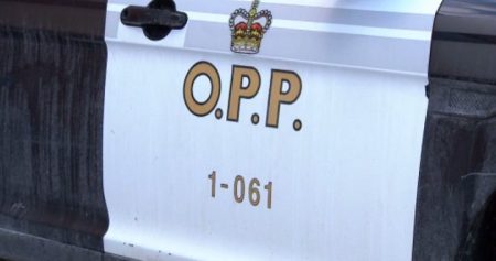 OPP FILE 3 1