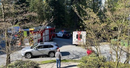 PORT MOODY PED STRUCK