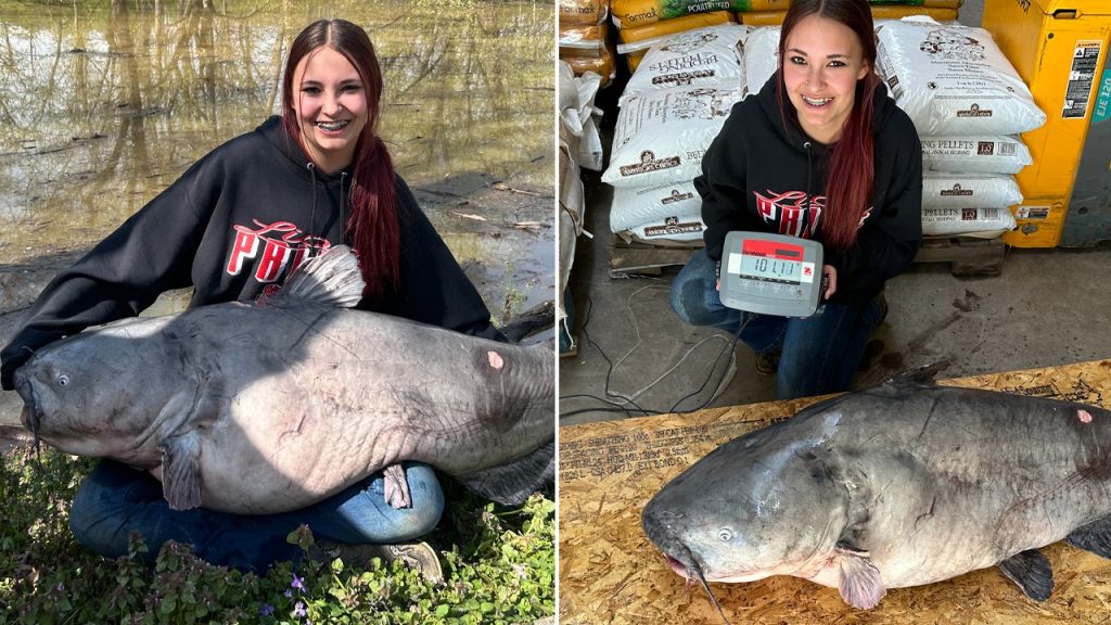 Parker record catfish split