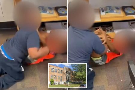 School fight sued