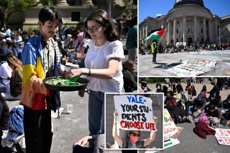 anti israel hunger strikers yale 80528651