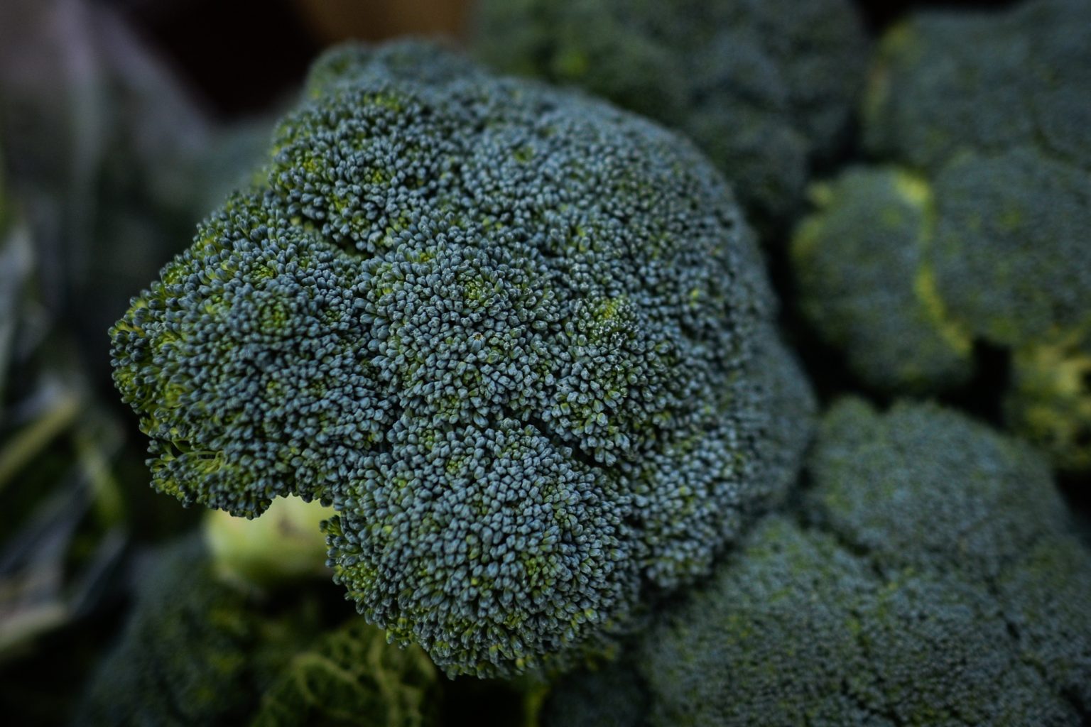 broccoli recall