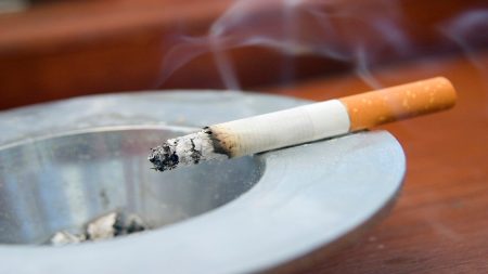 cigarette nutrition study