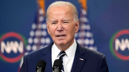 joe biden solo