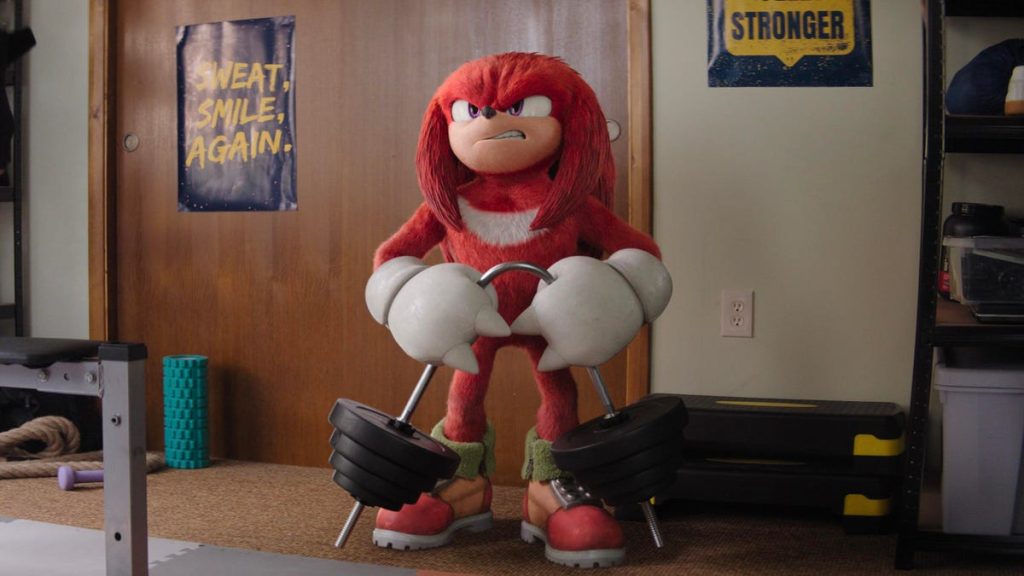 knuckles 101 0004 rt3