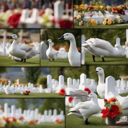 Memorial event announced to honor Penticton, B.C.’s dearly departed goose